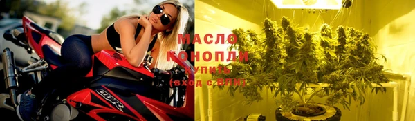 прущие грибы Абинск