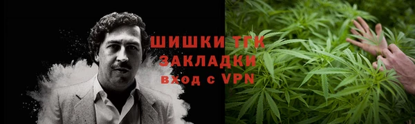 прущие грибы Абинск