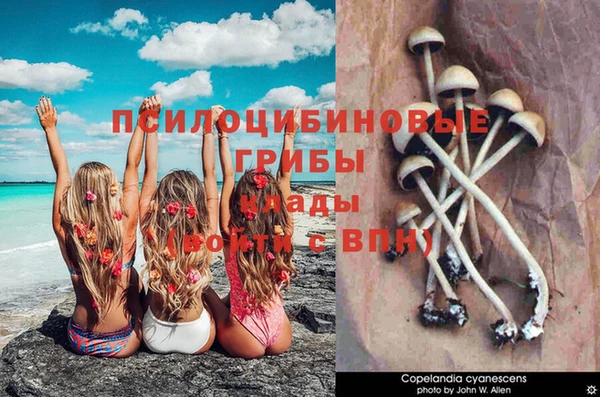 mix Алексеевка