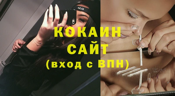 прущие грибы Абинск