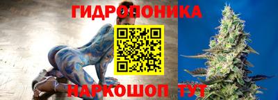 сатива Лесосибирск
