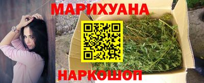 сатива Лесосибирск