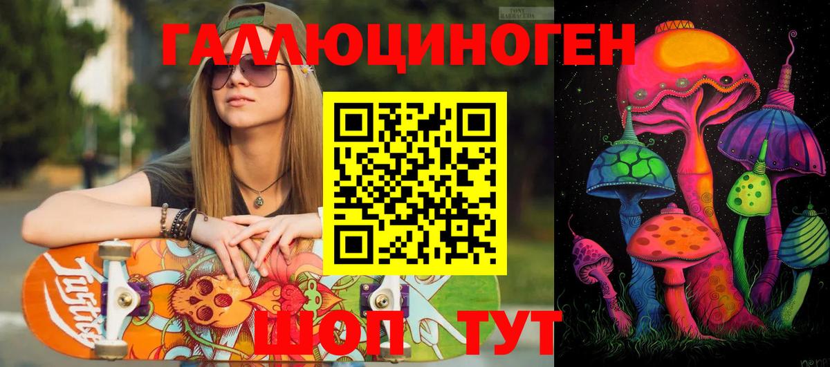 купить наркоту  Галлюциногенные грибы Psilocybe  Вход с VPN  Домодедово 