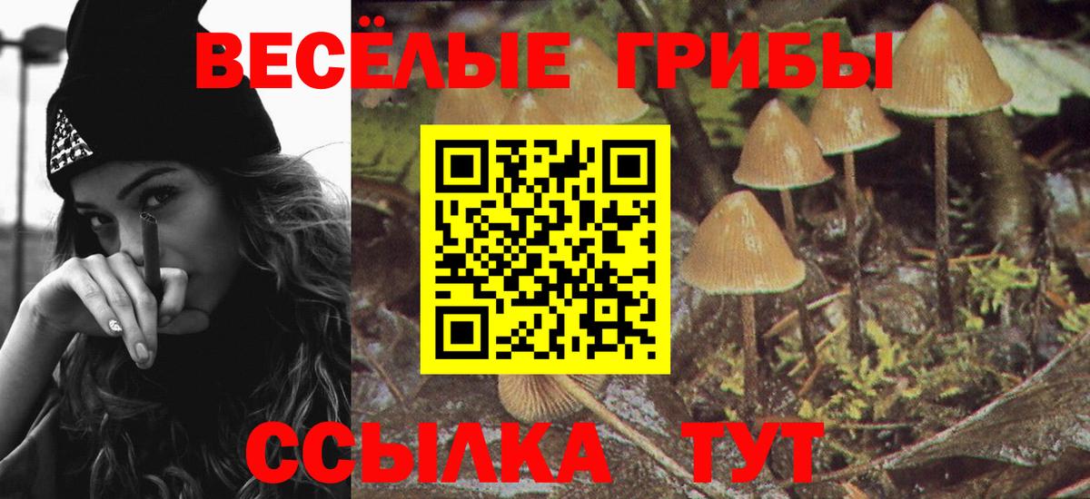 Псилоцибиновые грибы ЛСД Домодедово